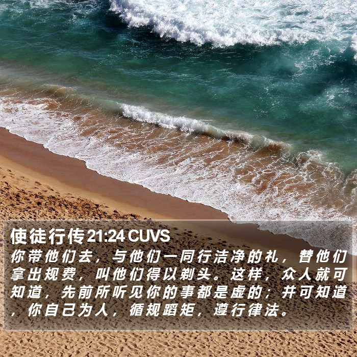 使 徒 行 传 21:24 CUVS Bible Study