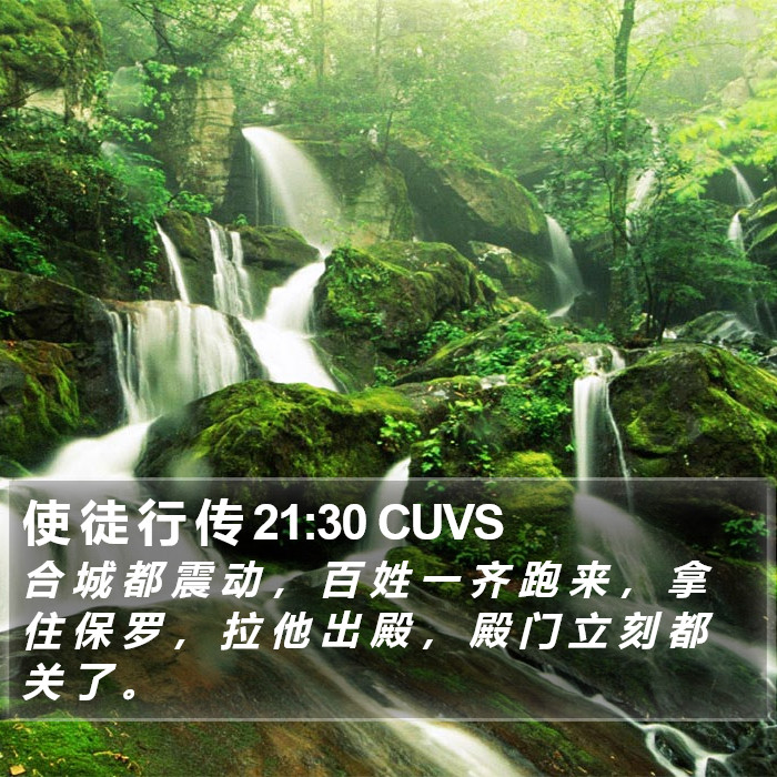 使 徒 行 传 21:30 CUVS Bible Study