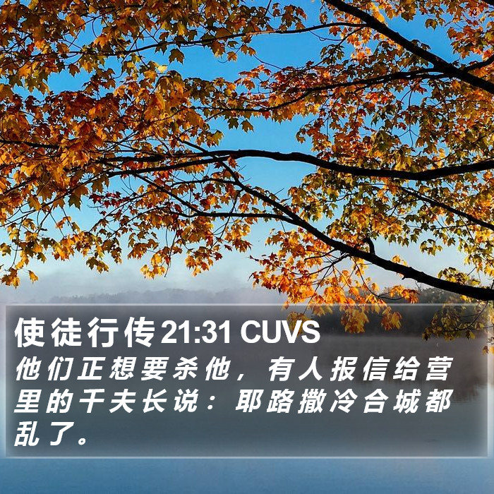 使 徒 行 传 21:31 CUVS Bible Study