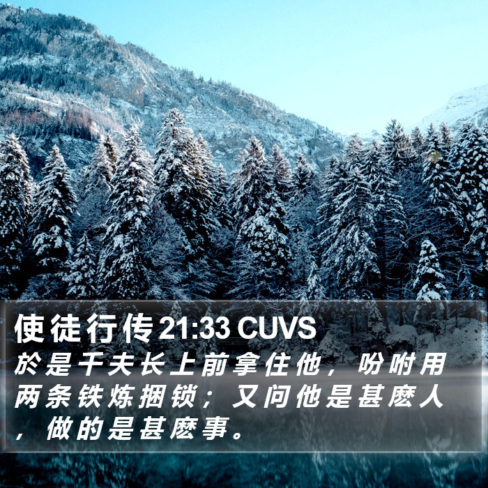 使 徒 行 传 21:33 CUVS Bible Study