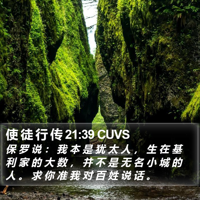 使 徒 行 传 21:39 CUVS Bible Study