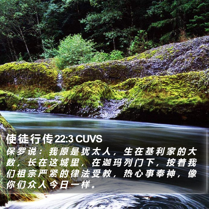 使 徒 行 传 22:3 CUVS Bible Study