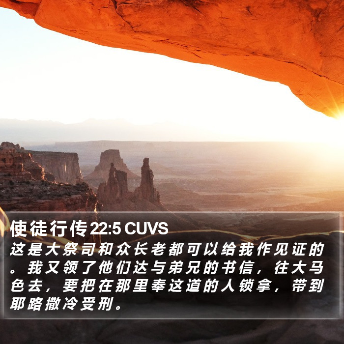 使 徒 行 传 22:5 CUVS Bible Study