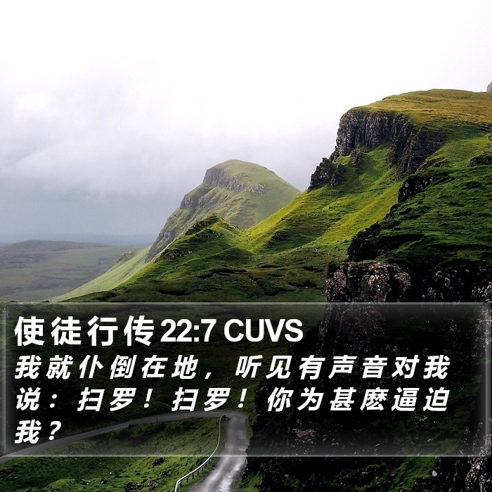 使 徒 行 传 22:7 CUVS Bible Study