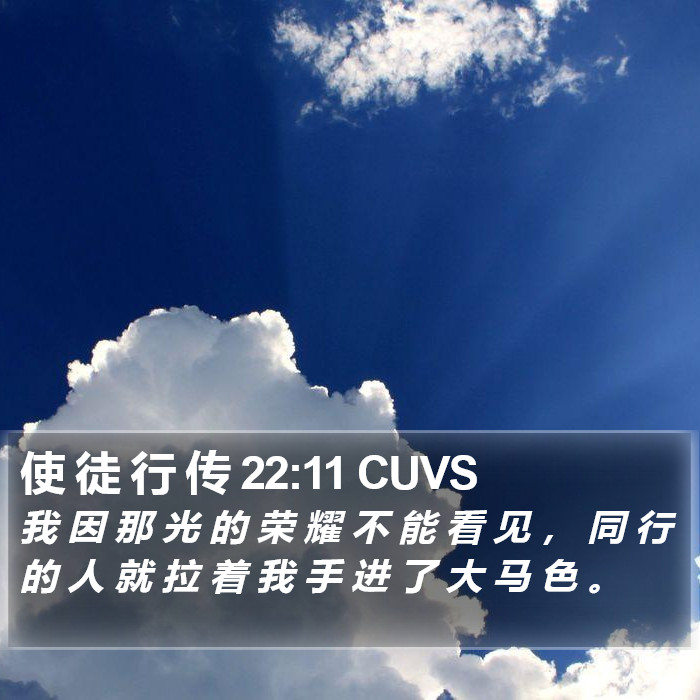 使 徒 行 传 22:11 CUVS Bible Study