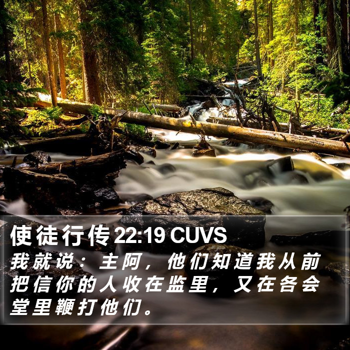 使 徒 行 传 22:19 CUVS Bible Study