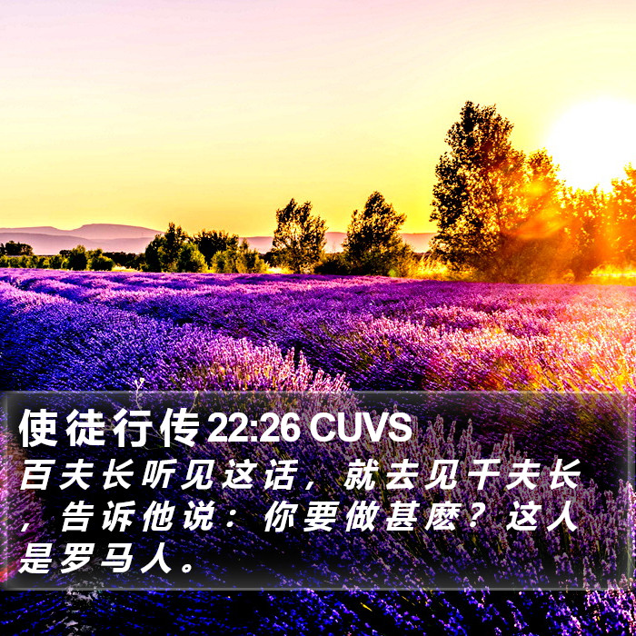 使 徒 行 传 22:26 CUVS Bible Study