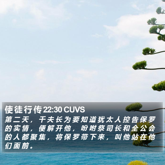 使 徒 行 传 22:30 CUVS Bible Study