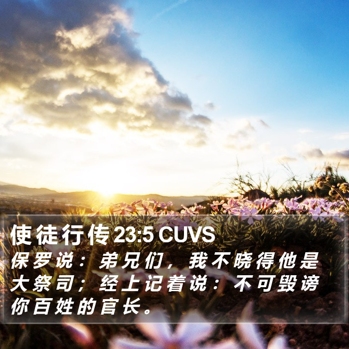 使 徒 行 传 23:5 CUVS Bible Study