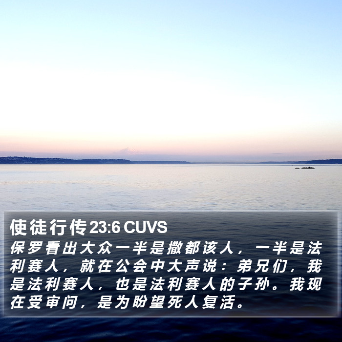 使 徒 行 传 23:6 CUVS Bible Study