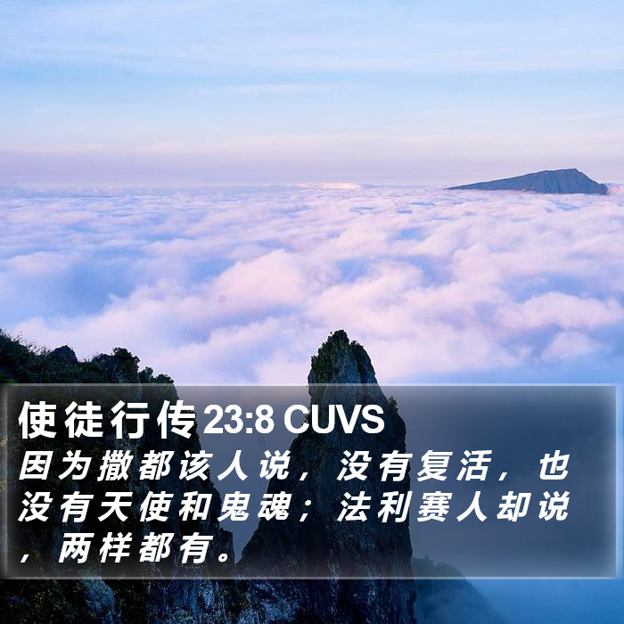 使 徒 行 传 23:8 CUVS Bible Study