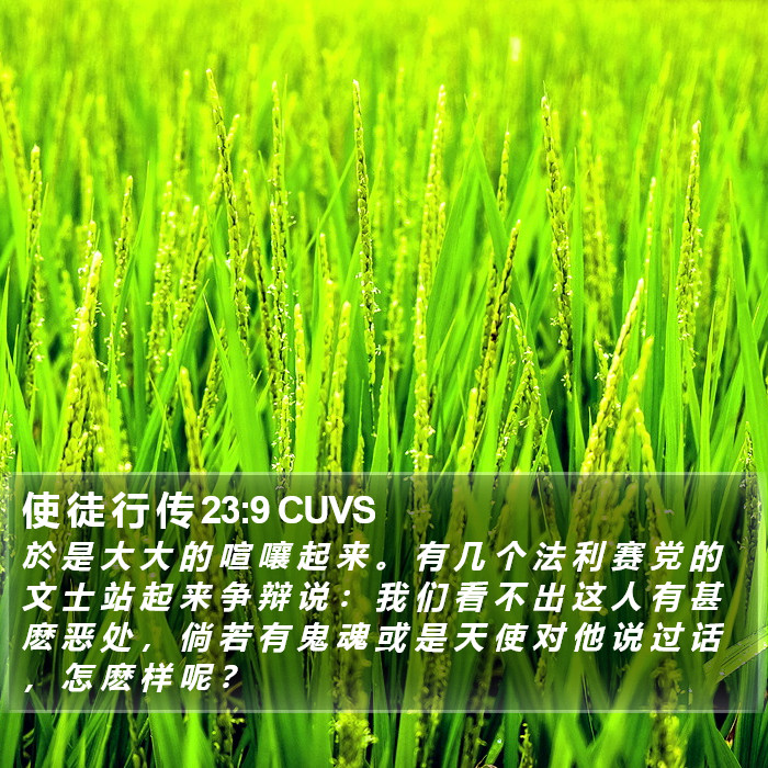 使 徒 行 传 23:9 CUVS Bible Study