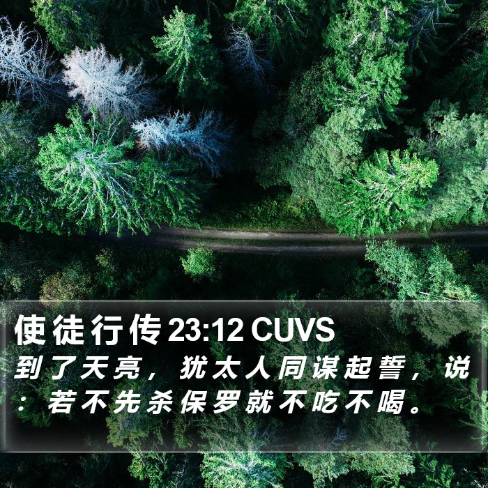 使 徒 行 传 23:12 CUVS Bible Study