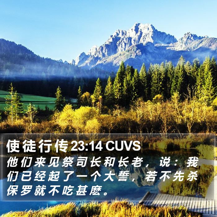 使 徒 行 传 23:14 CUVS Bible Study