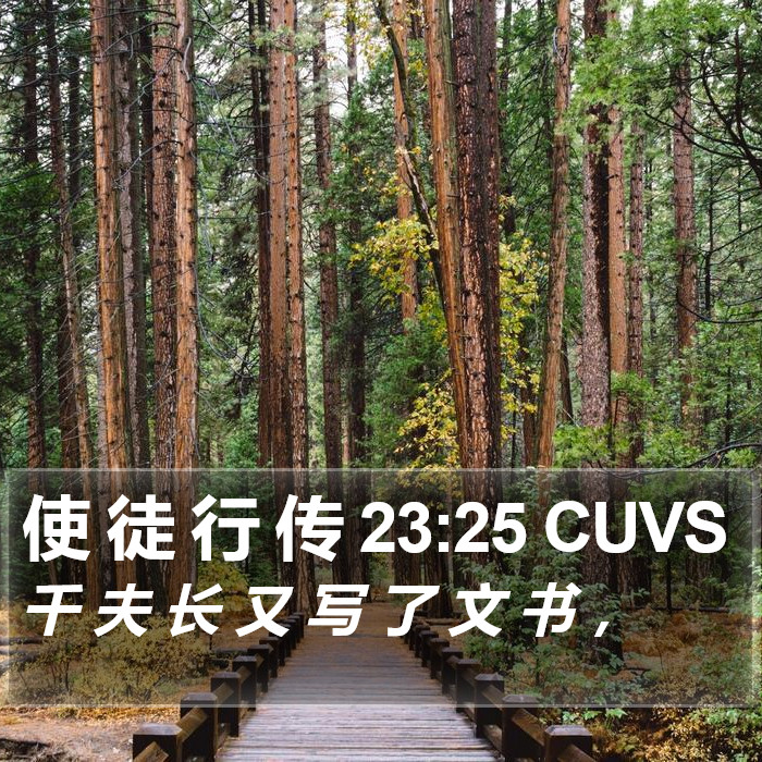 使 徒 行 传 23:25 CUVS Bible Study