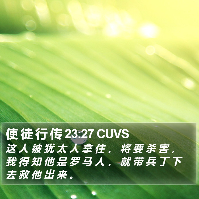 使 徒 行 传 23:27 CUVS Bible Study