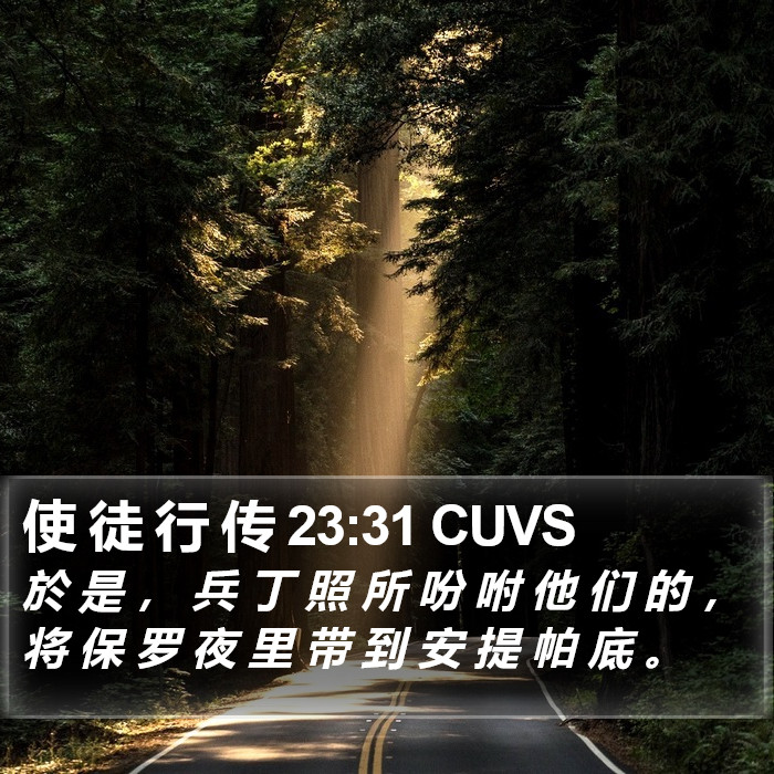 使 徒 行 传 23:31 CUVS Bible Study