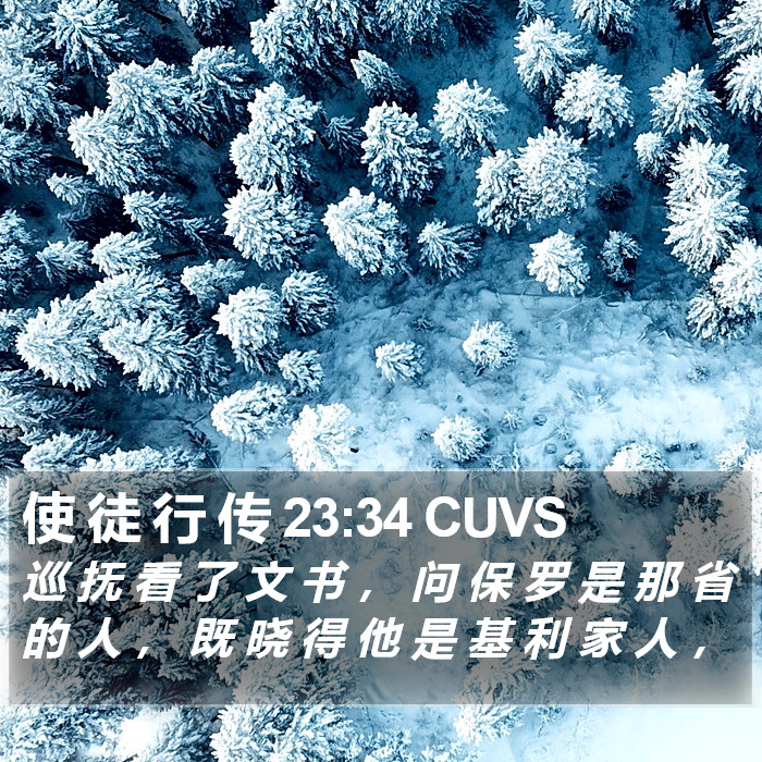 使 徒 行 传 23:34 CUVS Bible Study