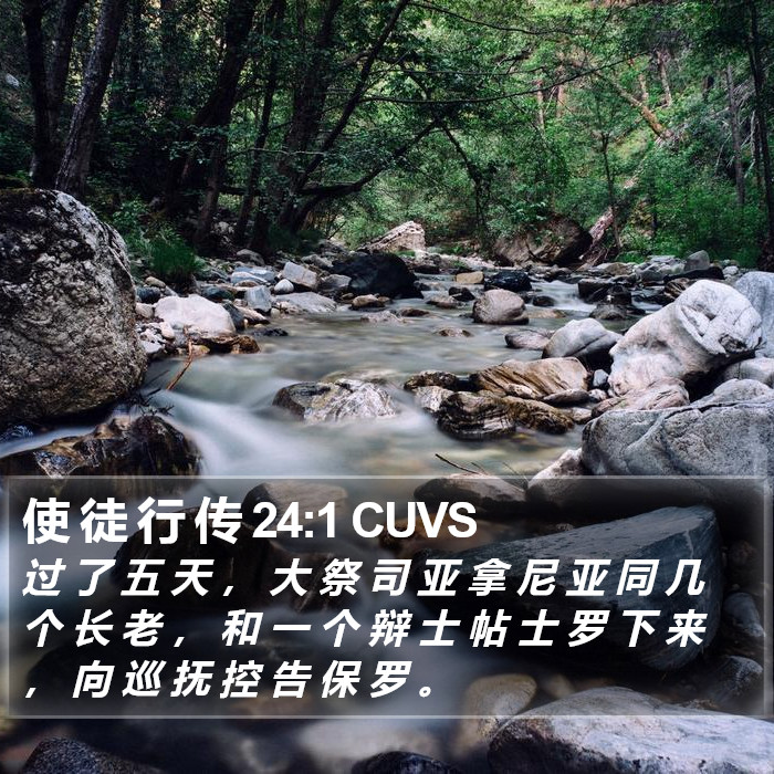 使 徒 行 传 24:1 CUVS Bible Study