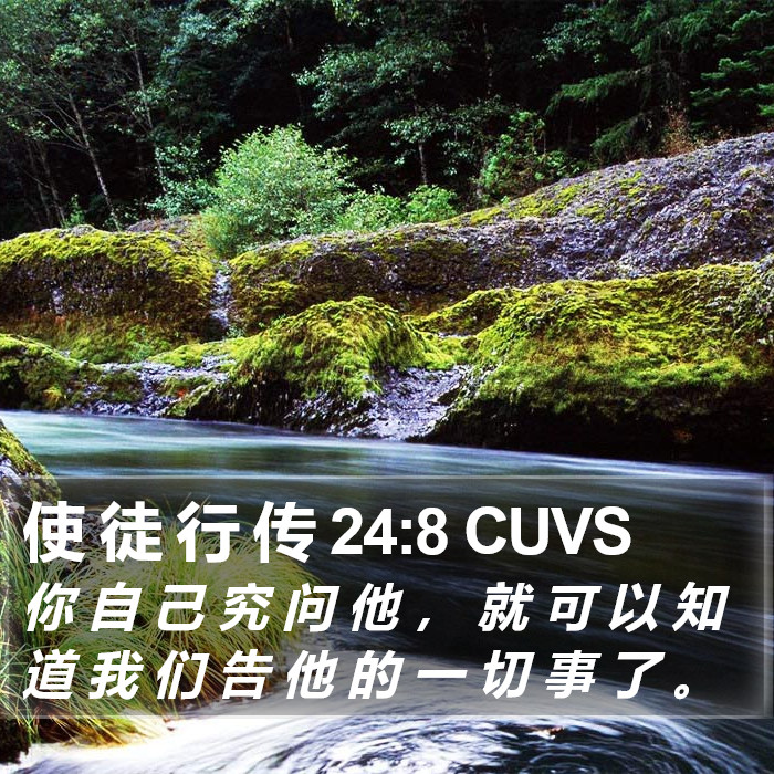 使 徒 行 传 24:8 CUVS Bible Study