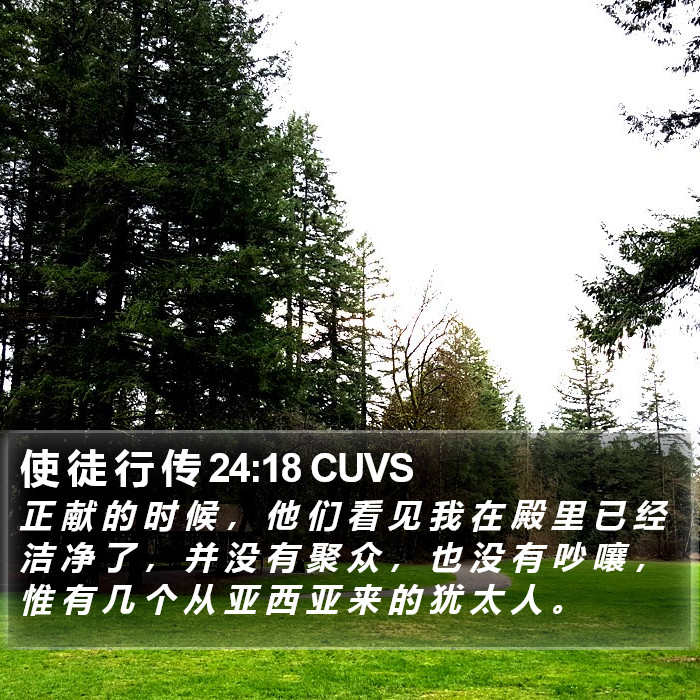 使 徒 行 传 24:18 CUVS Bible Study