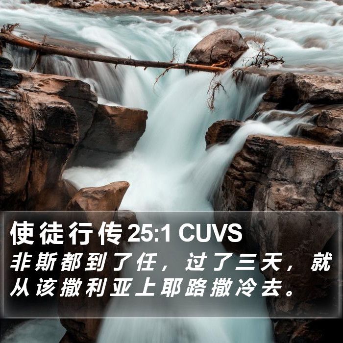 使 徒 行 传 25:1 CUVS Bible Study