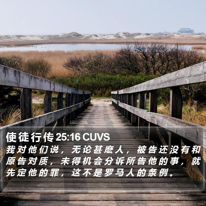 使 徒 行 传 25:16 CUVS Bible Study