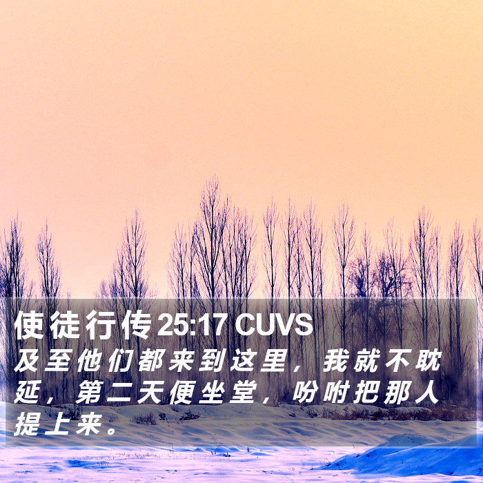 使 徒 行 传 25:17 CUVS Bible Study