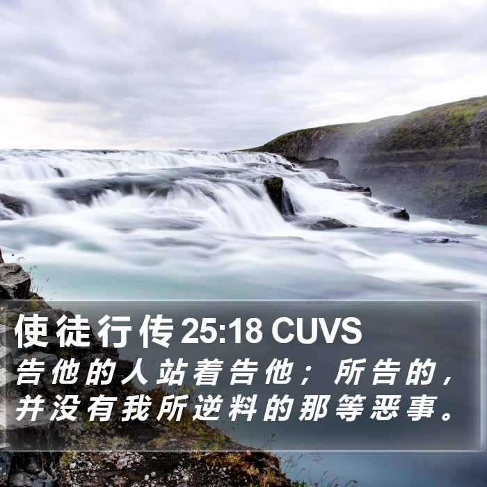 使 徒 行 传 25:18 CUVS Bible Study