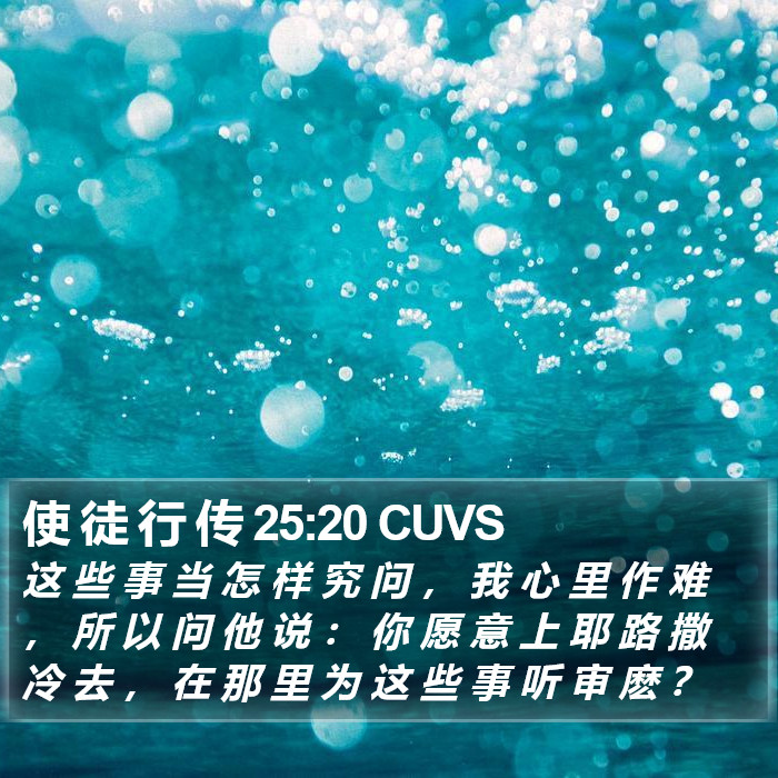 使 徒 行 传 25:20 CUVS Bible Study