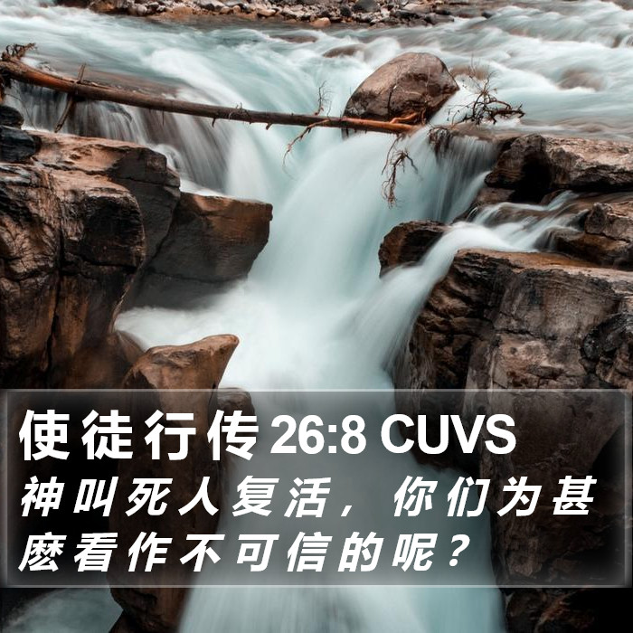 使 徒 行 传 26:8 CUVS Bible Study