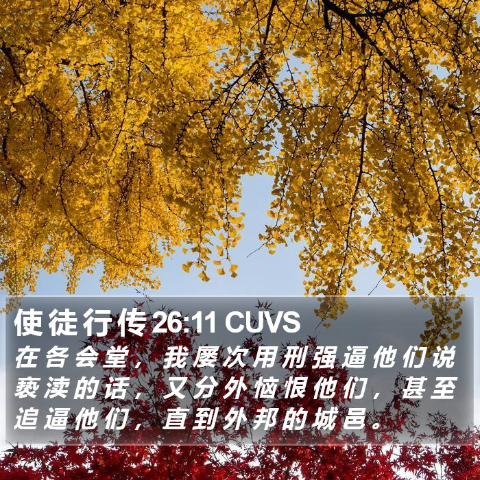 使 徒 行 传 26:11 CUVS Bible Study