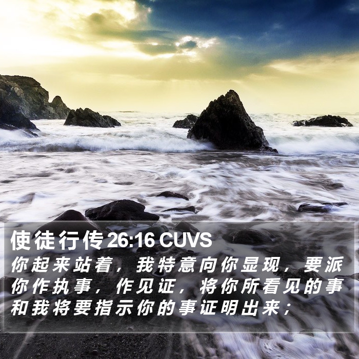 使 徒 行 传 26:16 CUVS Bible Study