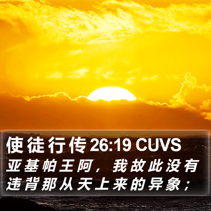 使 徒 行 传 26:19 CUVS Bible Study