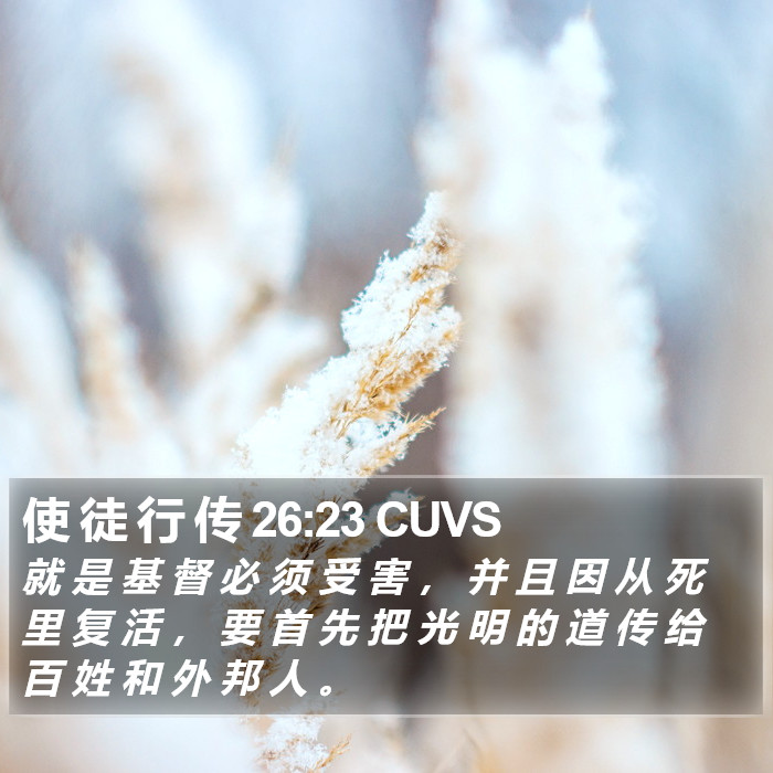 使 徒 行 传 26:23 CUVS Bible Study