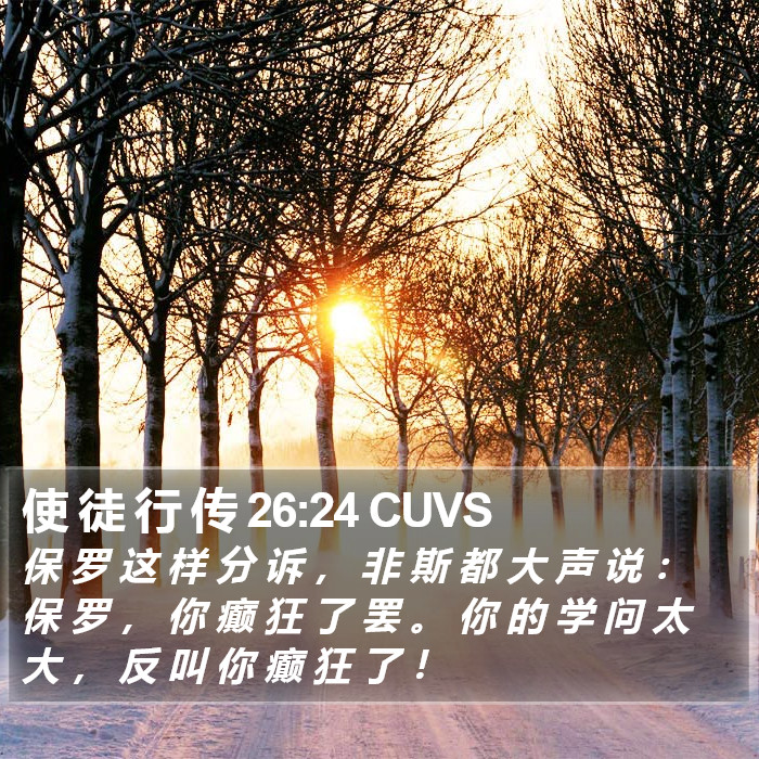 使 徒 行 传 26:24 CUVS Bible Study