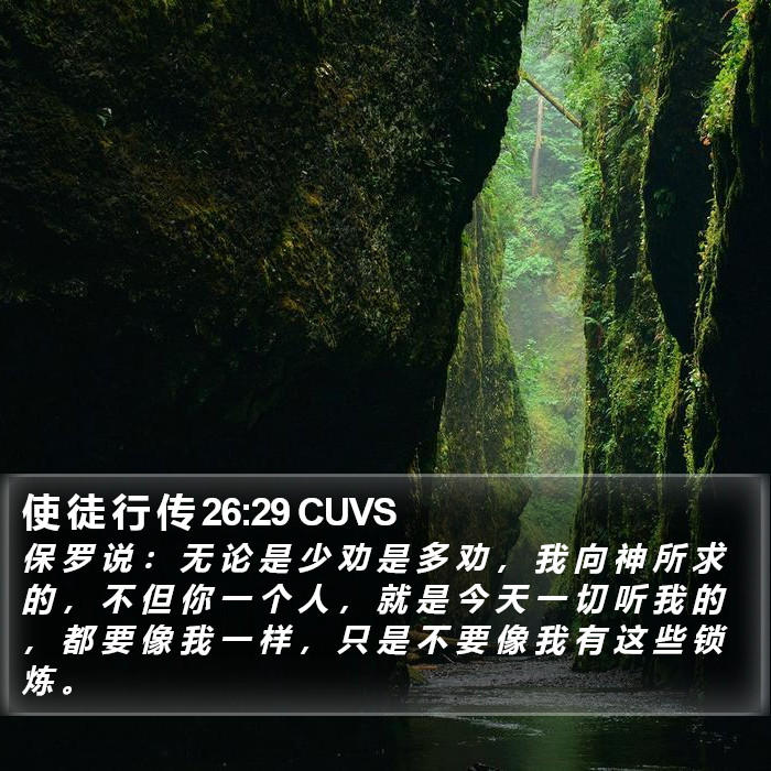 使 徒 行 传 26:29 CUVS Bible Study