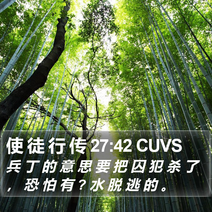 使 徒 行 传 27:42 CUVS Bible Study