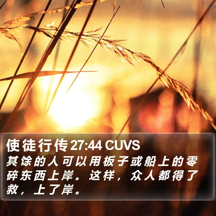 使 徒 行 传 27:44 CUVS Bible Study