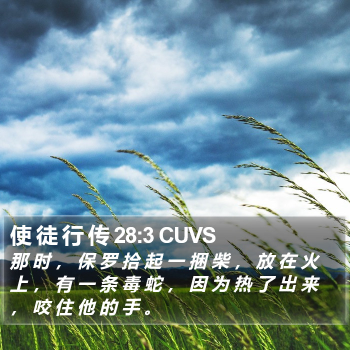 使 徒 行 传 28:3 CUVS Bible Study