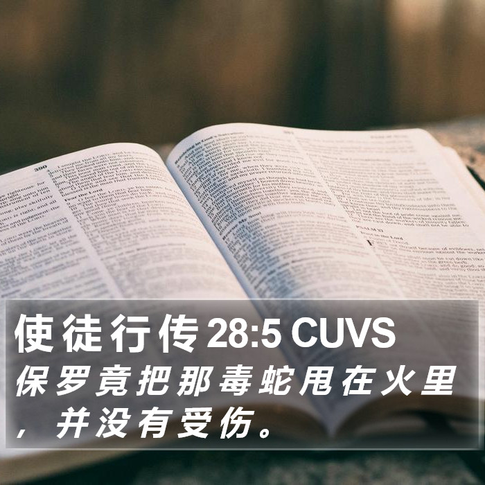 使 徒 行 传 28:5 CUVS Bible Study