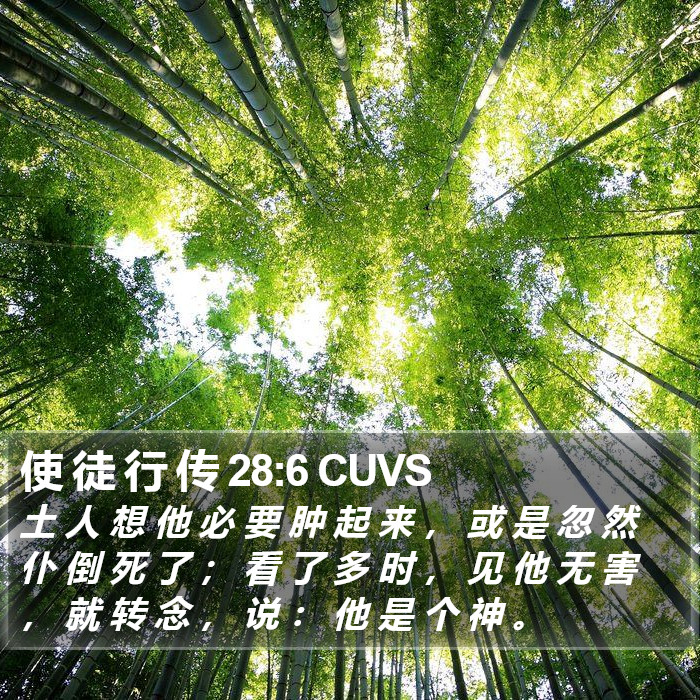 使 徒 行 传 28:6 CUVS Bible Study