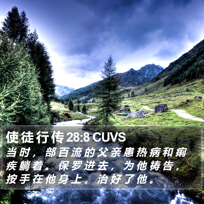 使 徒 行 传 28:8 CUVS Bible Study