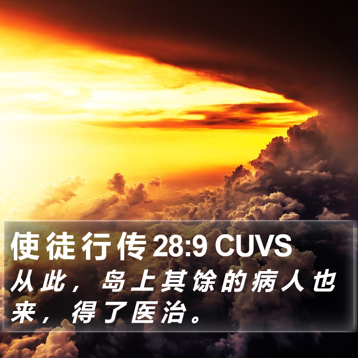 使 徒 行 传 28:9 CUVS Bible Study