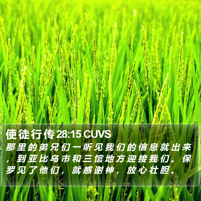 使 徒 行 传 28:15 CUVS Bible Study