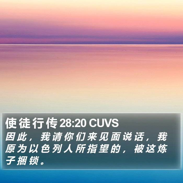 使 徒 行 传 28:20 CUVS Bible Study