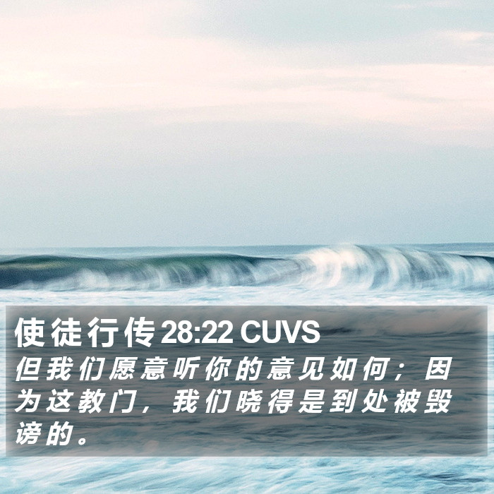 使 徒 行 传 28:22 CUVS Bible Study