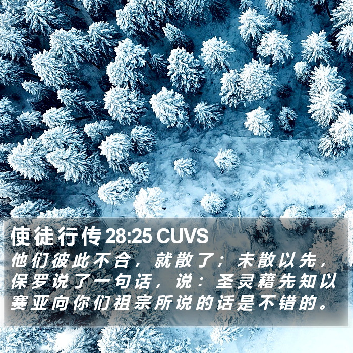 使 徒 行 传 28:25 CUVS Bible Study