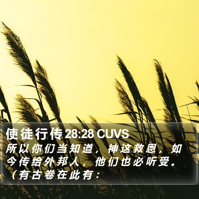 使 徒 行 传 28:28 CUVS Bible Study