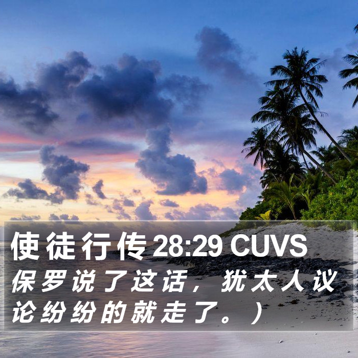 使 徒 行 传 28:29 CUVS Bible Study